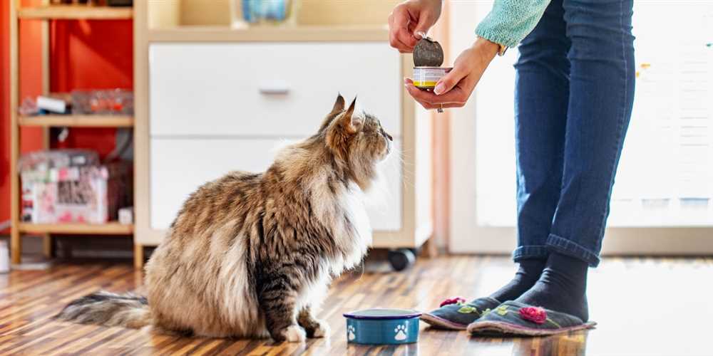 A guide to cat nutrition: what to feed your feline friend
