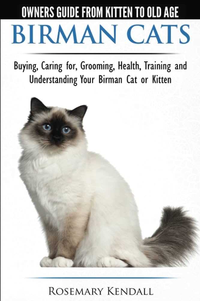 Aesthetic Appeal: Unveiling the Charm and Refinement of Birman Cats