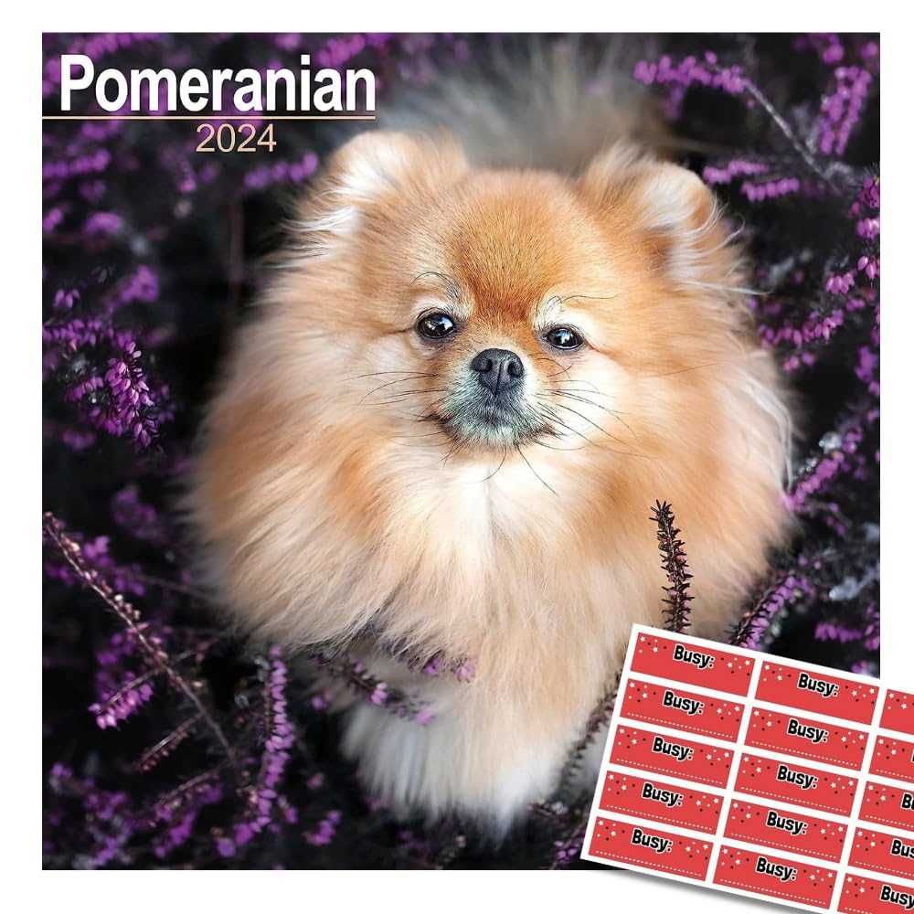 Highlighting the charm and elegance of Pomeranian dogs