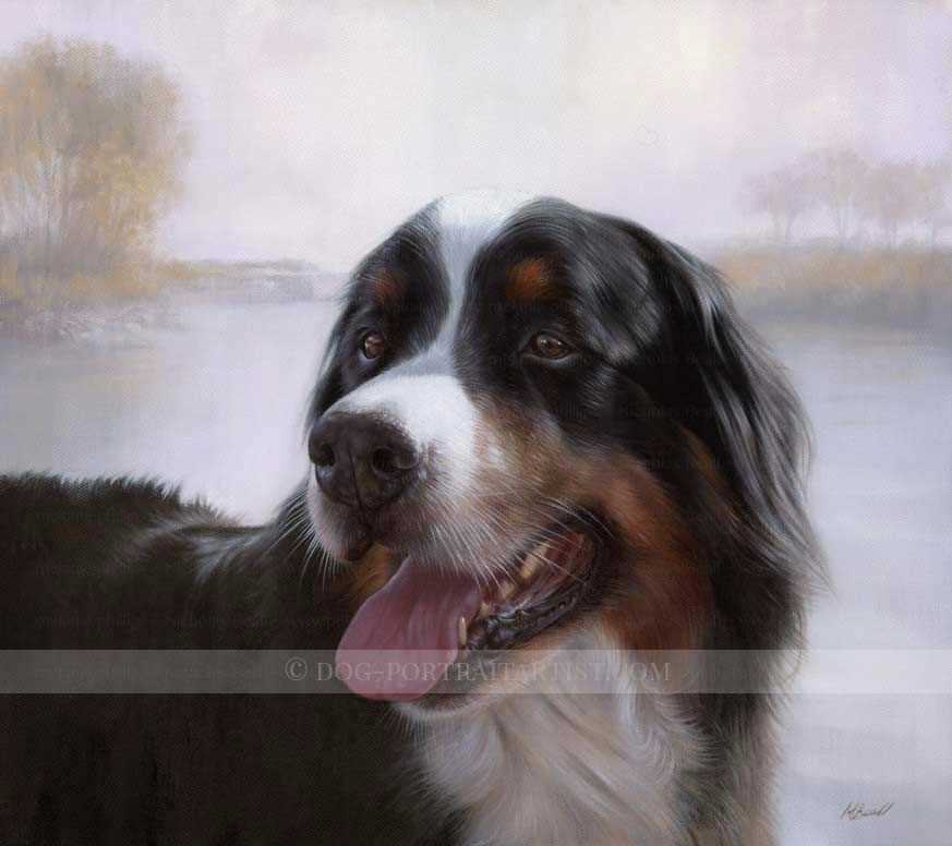 Capturing the Beauty of the Bernese Mountain Dog: A Stunning Breed Picture