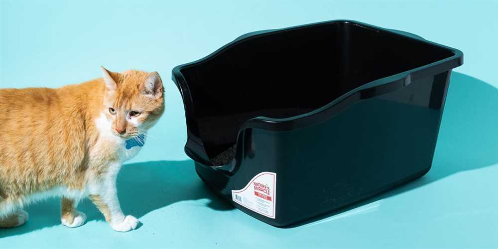 Why is Choosing the Right Cat Litter Important?
