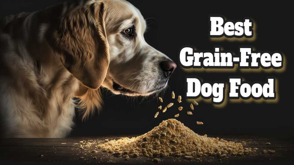 The Importance of Choosing the Optimal Dog Food