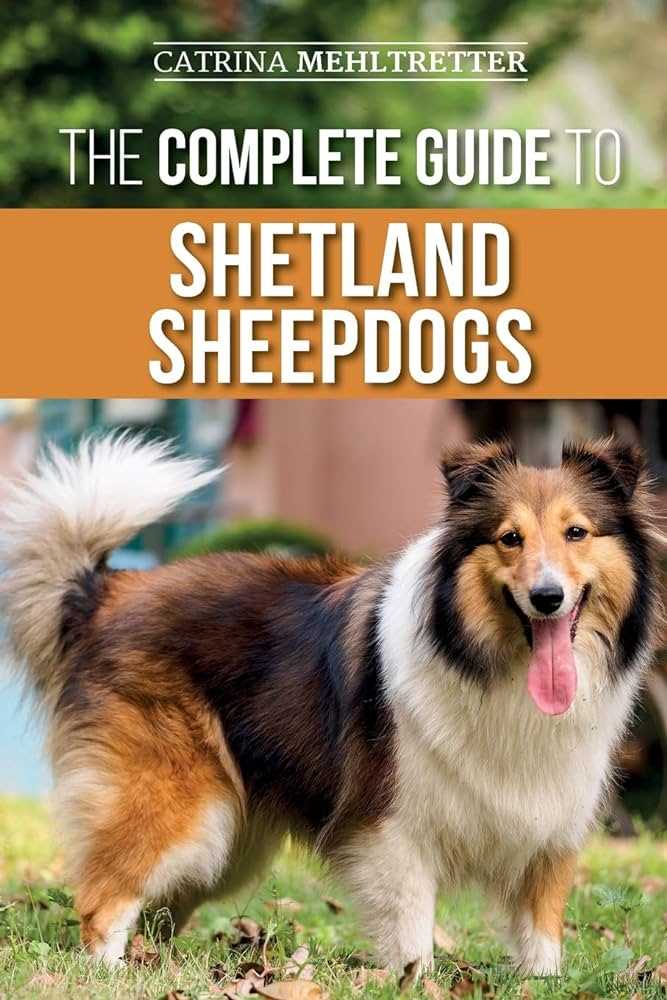 The Origins of the Shetland Sheepdog