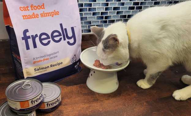 Dispelling Myths about Dry Cat Food