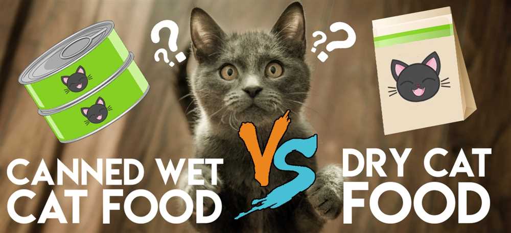 Analyzing the Differences between Dry and Wet Cat Food: Dispelling Common Myths and Exploring the Pros and Cons of Each Option