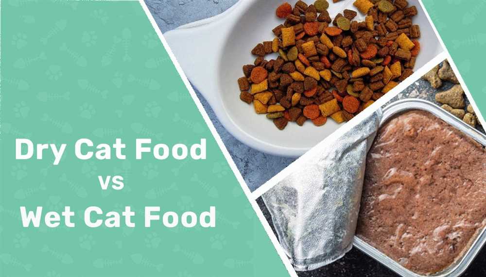 Dry Cat Food vs. Wet Cat Food: Debunking Myths and Exploring the Pros and Cons of Each Option