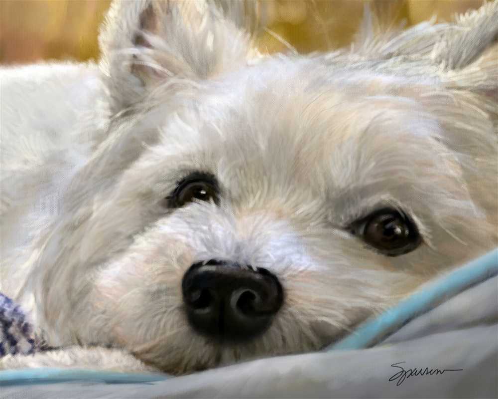 Delve into the Endearing Attributes and Special Demeanor of the West Highland White Terrier Captured in Awe-Inspiring Images