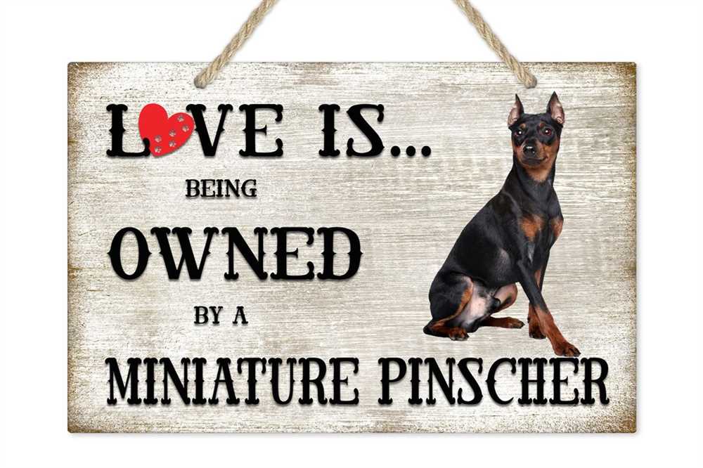 Explore the beauty of the Miniature Pinscher dog breed through stunning pictures