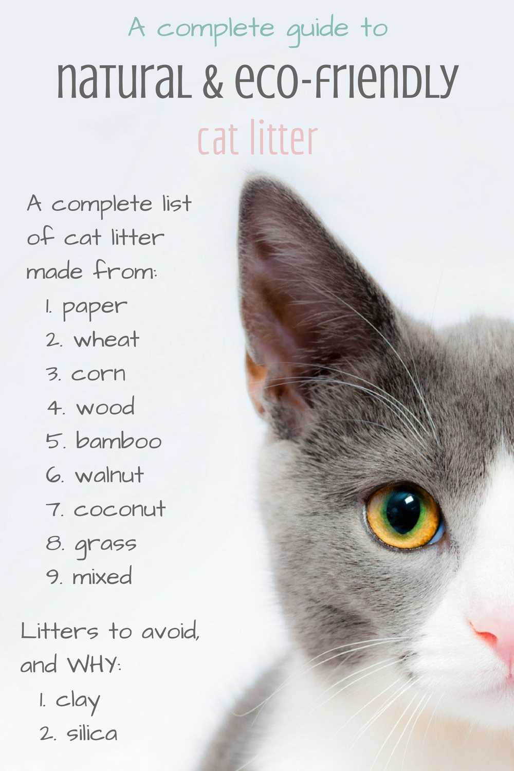 Exploring Sustainable Alternatives for Cat Litter: A Guide to Eco-Friendly Options