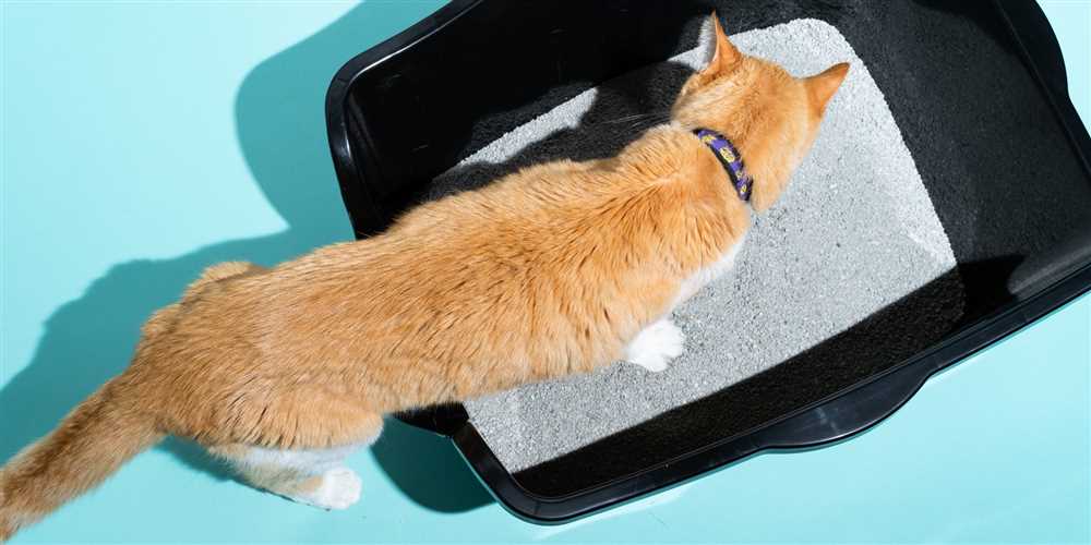 Exploring the Different Types of Cat Litter: See All Varieties