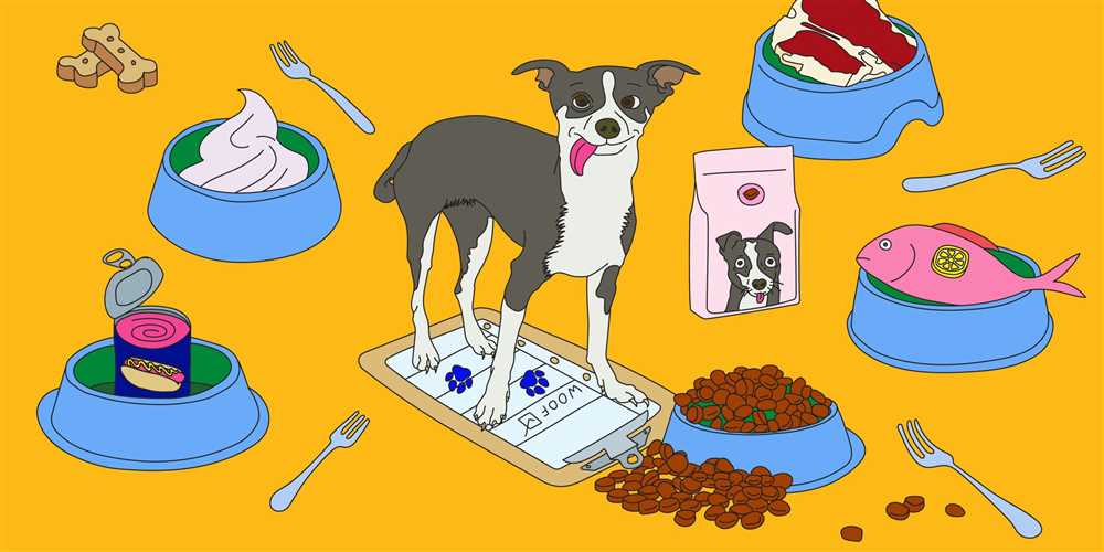 Exploring the Different Types of Dog Food