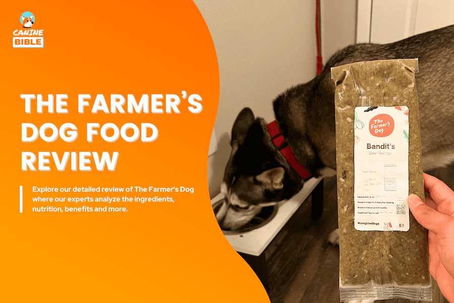 Analyzing the Growth in Grain Free Dog Food: What Lies Behind the Trend?