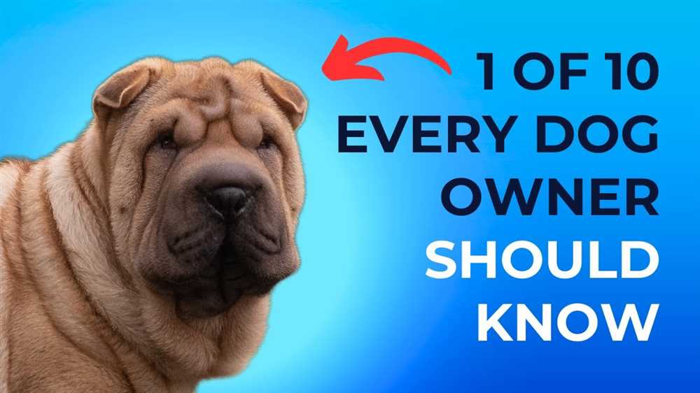 Understanding the Chinese Shar-Pei: An Overview of the Breed