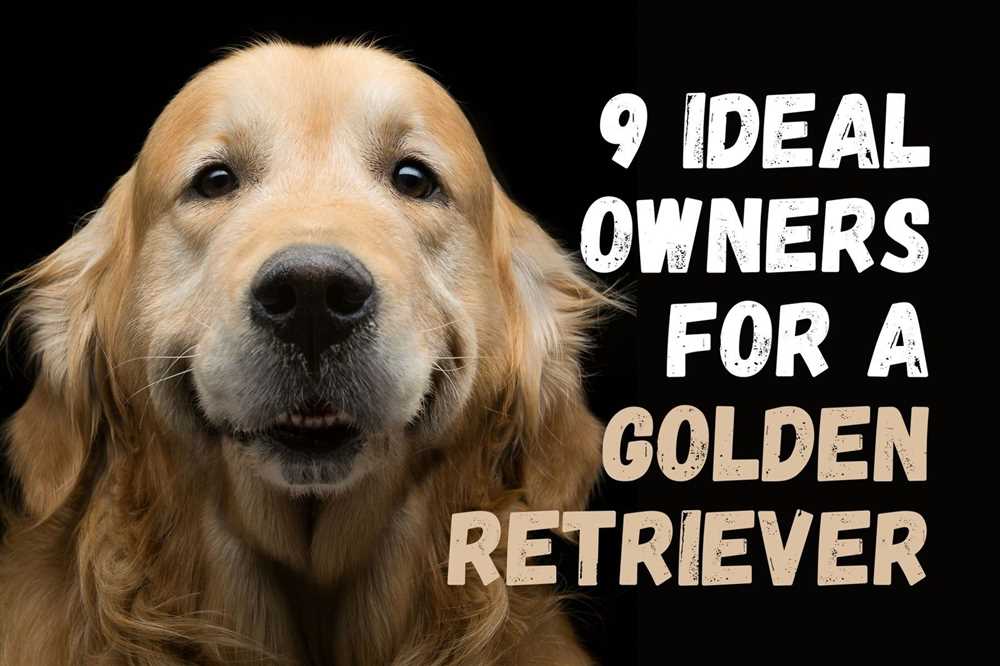 Fun and Engaging Activities for Golden Retrievers and Their Owners