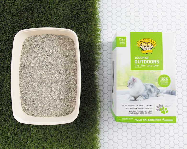 Going Green with Your Cat's Litter: The Rise of Biodegradable and Compostable Options