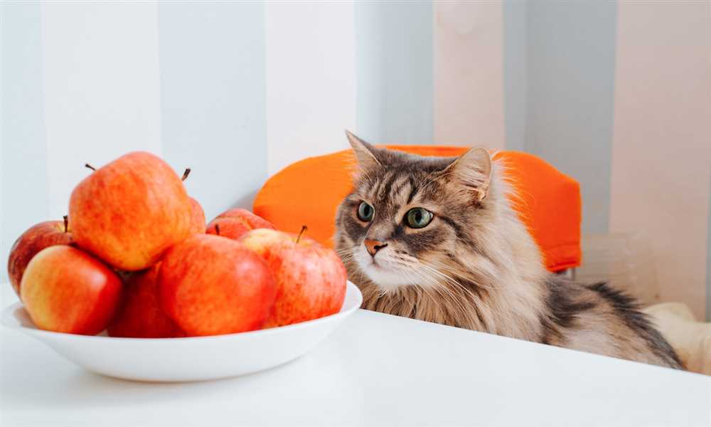 Healthy Cat Treats: Nourishing Options for a Well-Balanced Diet