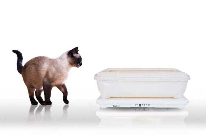 The Importance of a Litter Box Monitor for Monitoring Your Cat's Health