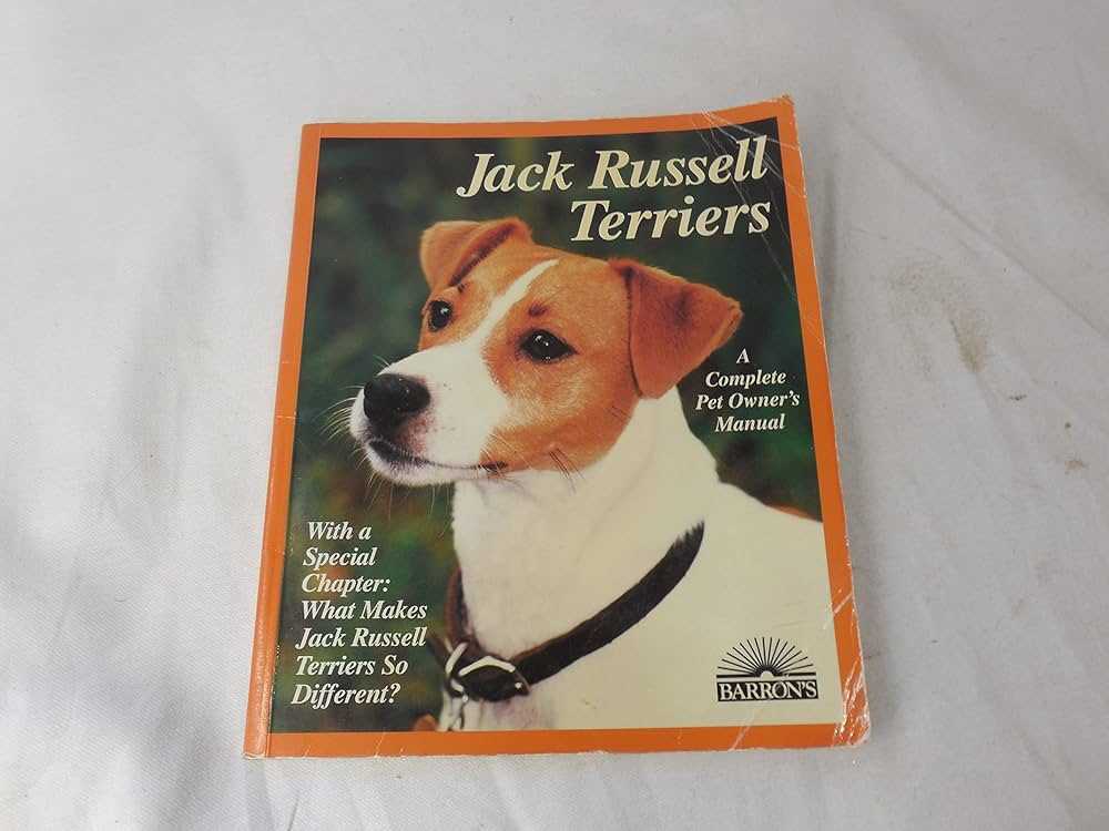 Discover the Charm of Jack Russell Terriers