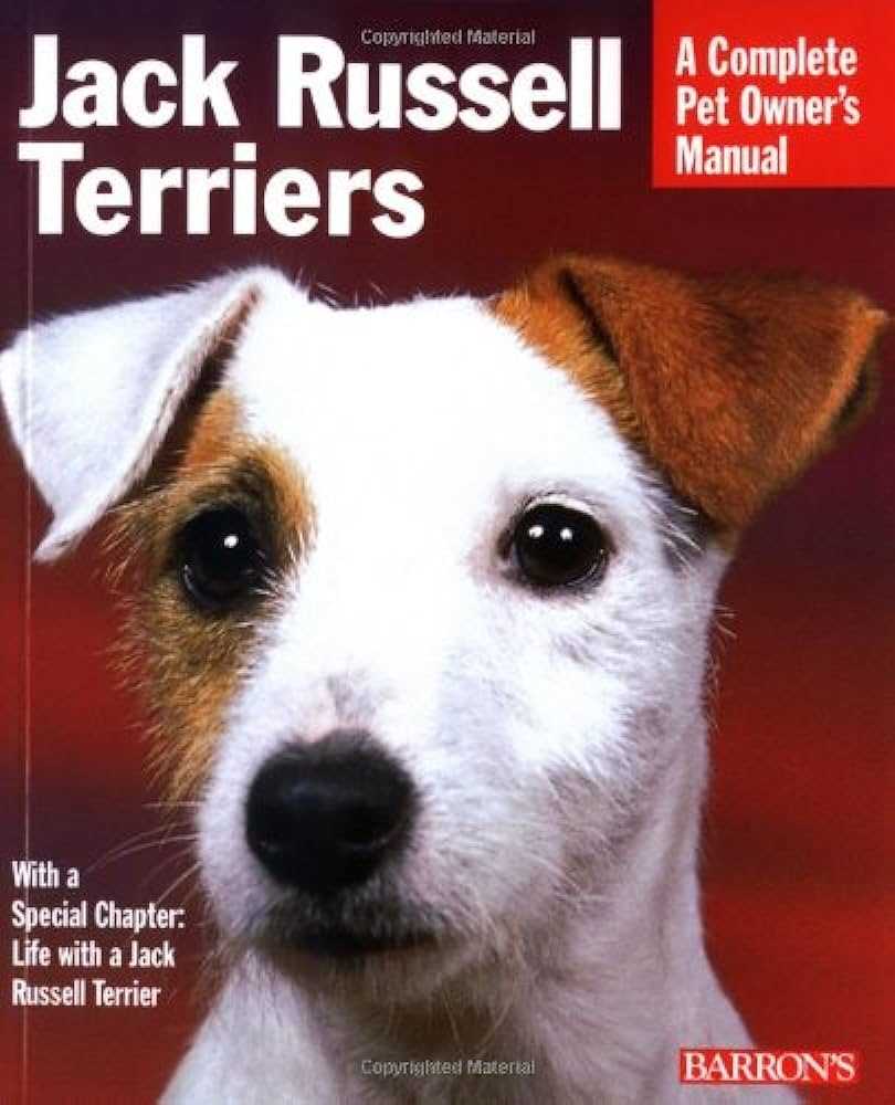Jack Russell Terrier: A Photographic Journey through this Endearing Dog Breed