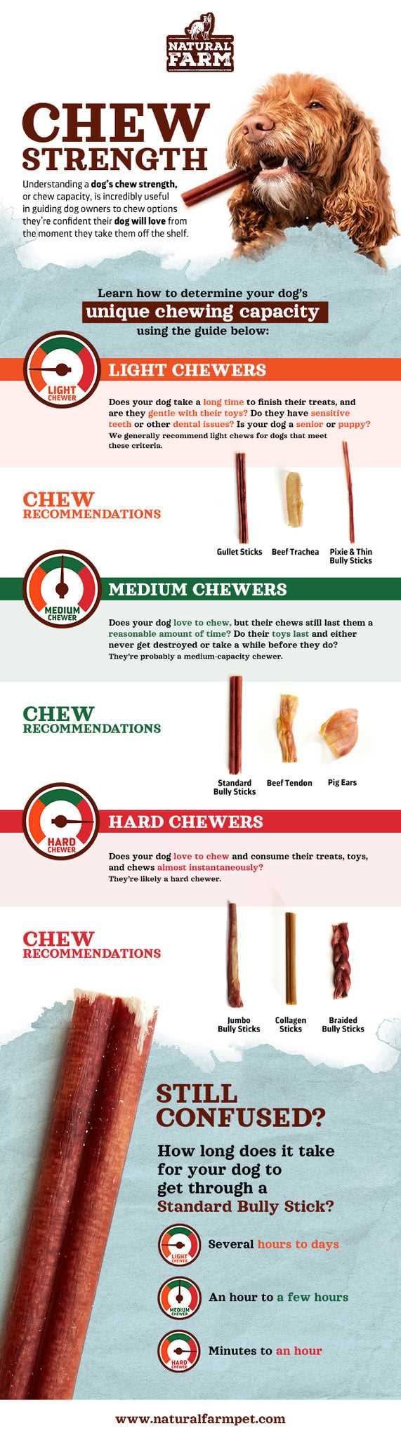 Natural and Safe Dog Chews