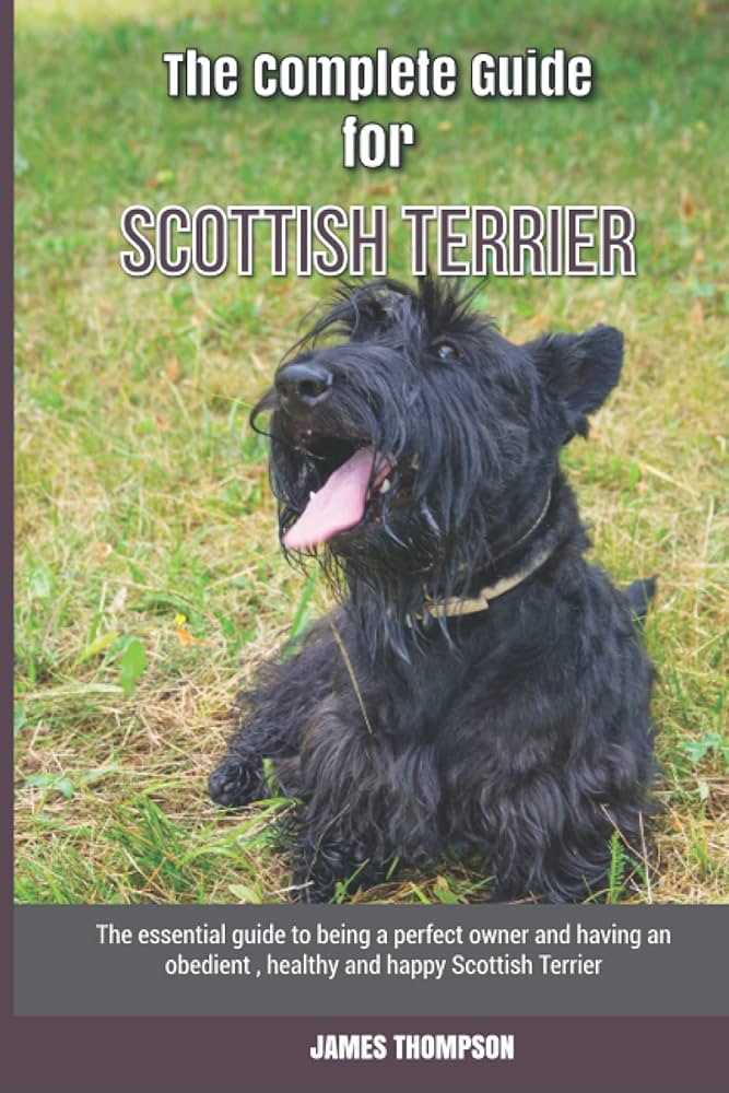 Scottish Terrier Health and Wellness: Essential Tips and Care Guidelines