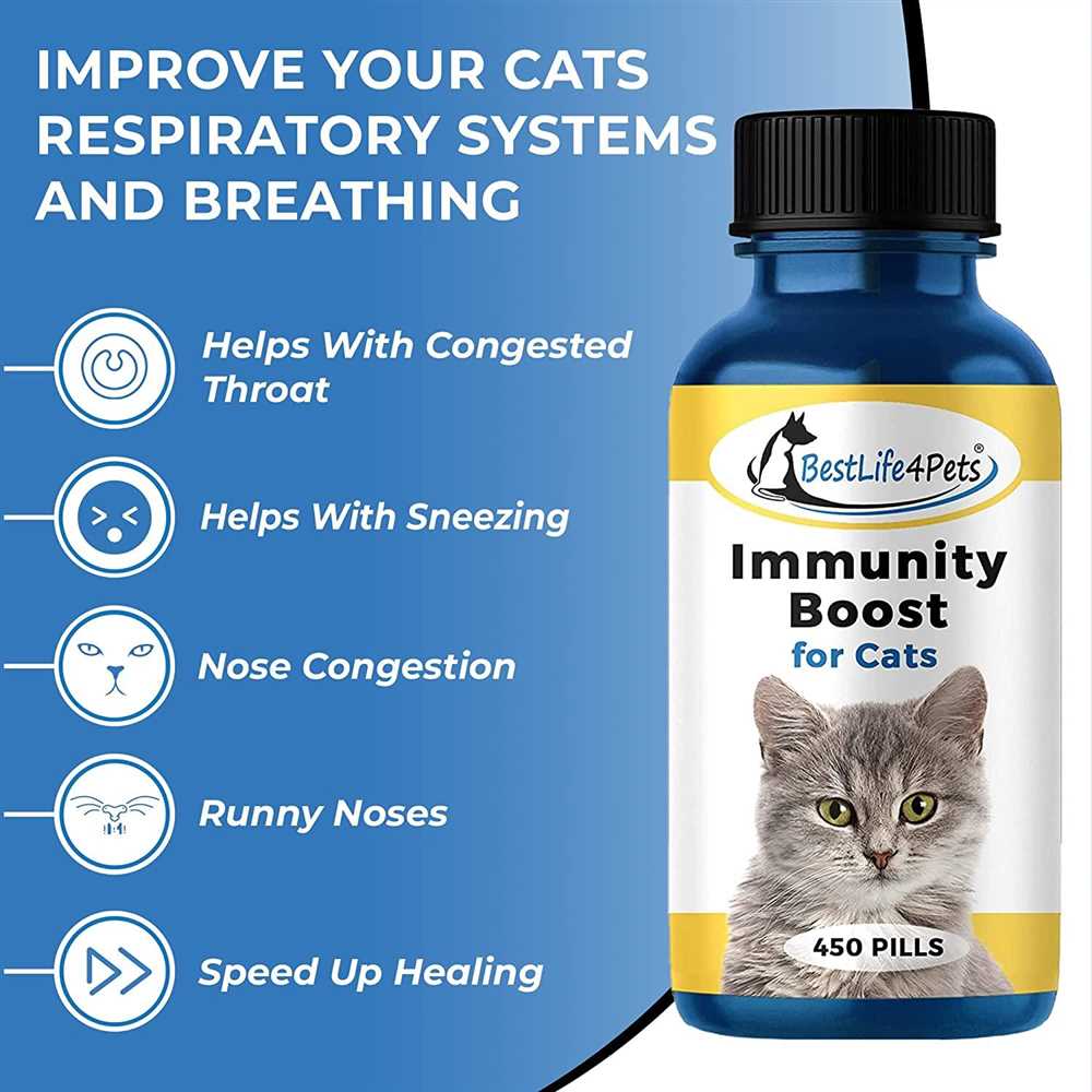 The Benefits of Cat Supplements: Boosting Your Feline's Health and Wellbeing
