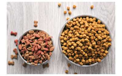 The Benefits of Feeding Your Dog Dry Food: What You Need to Know