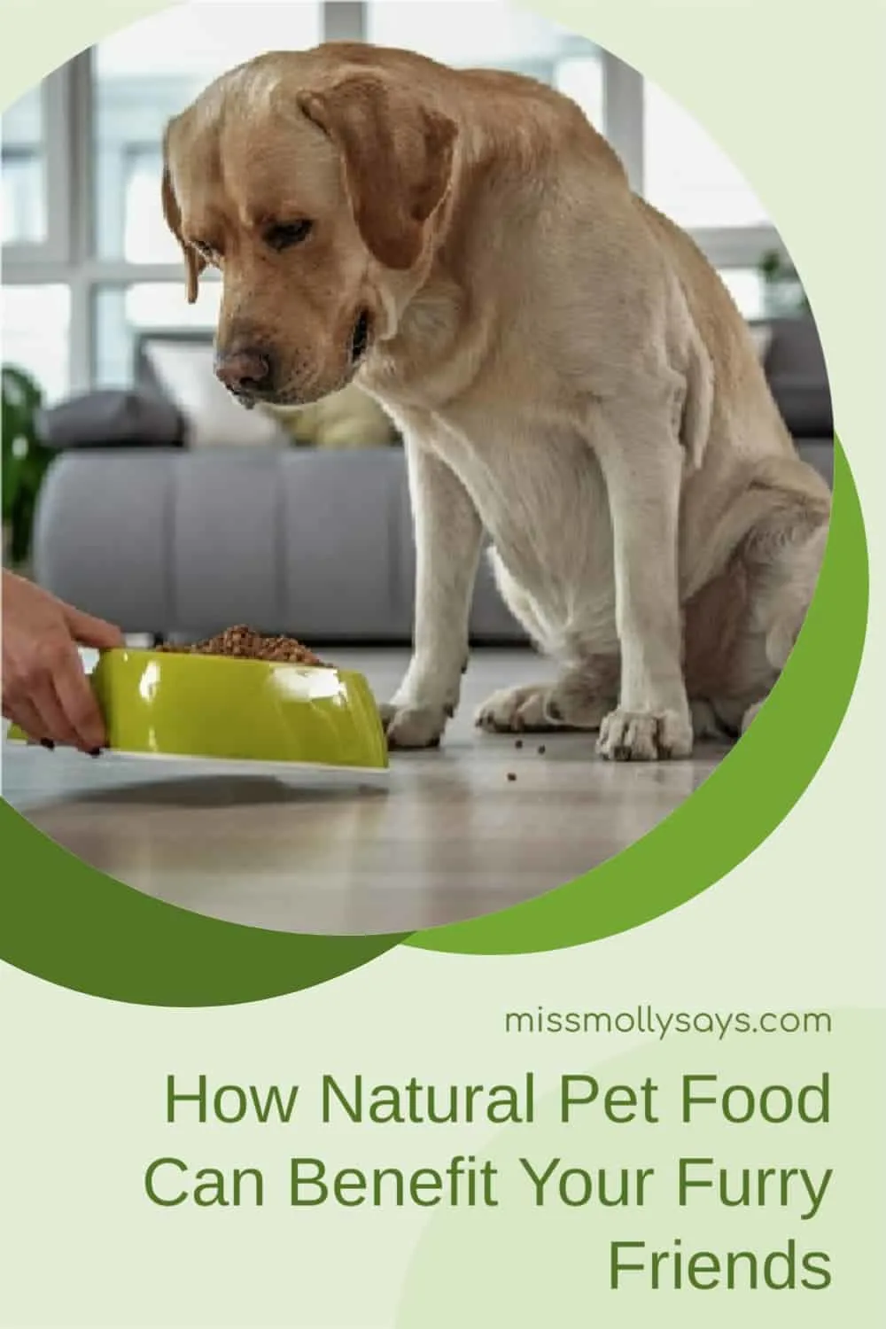 The Advantages of Natural and Organic Dog Treats