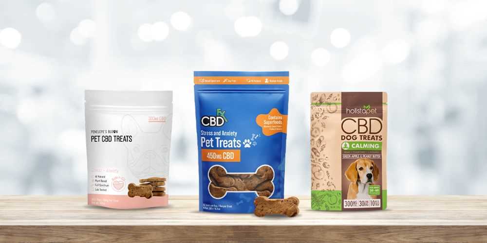 The Benefits of Natural and Organic Dog Treats for Your Furry Friend