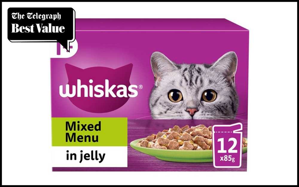 The Greatest Cat Food Brands: An Extensive Evaluation
