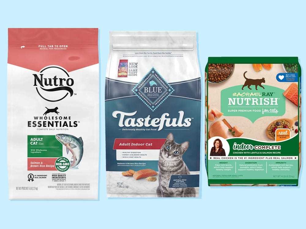 The Finest Cat Food Brands