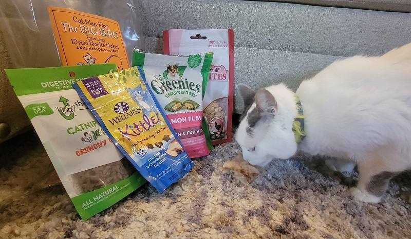 The Best Cat Treats: How to Choose the Perfect Snack for Your Feline Friend