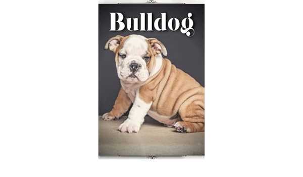 An Illustrated Handbook for Bulldog Enthusiasts