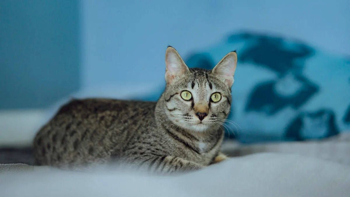 The Egyptian Mau: A Graceful and Intelligent Companion for Modern Pet Lovers