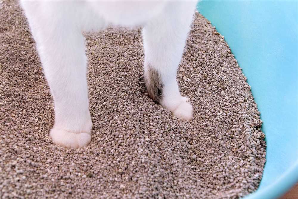 The Environmental Impact of Traditional Cat Litter