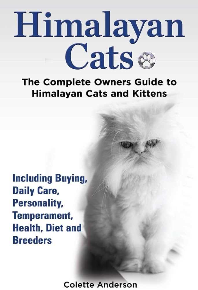 The Himalayan Cat: Traits, Care, and Everything You Need to Know