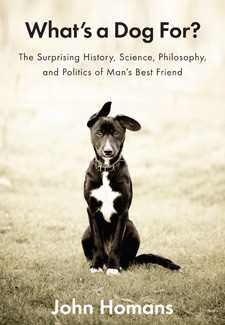 The Evolution of Dogs: A Compelling Journey through Time