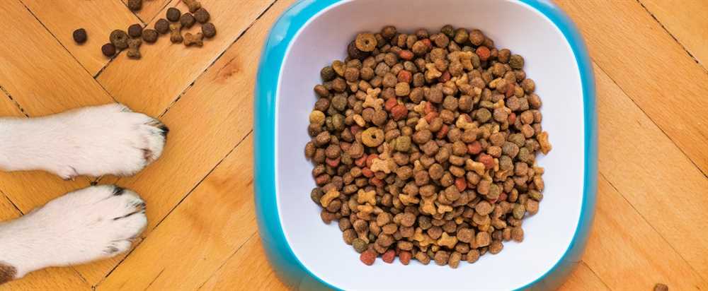 Understanding the Unique Nutritional Needs of Aging Dogs