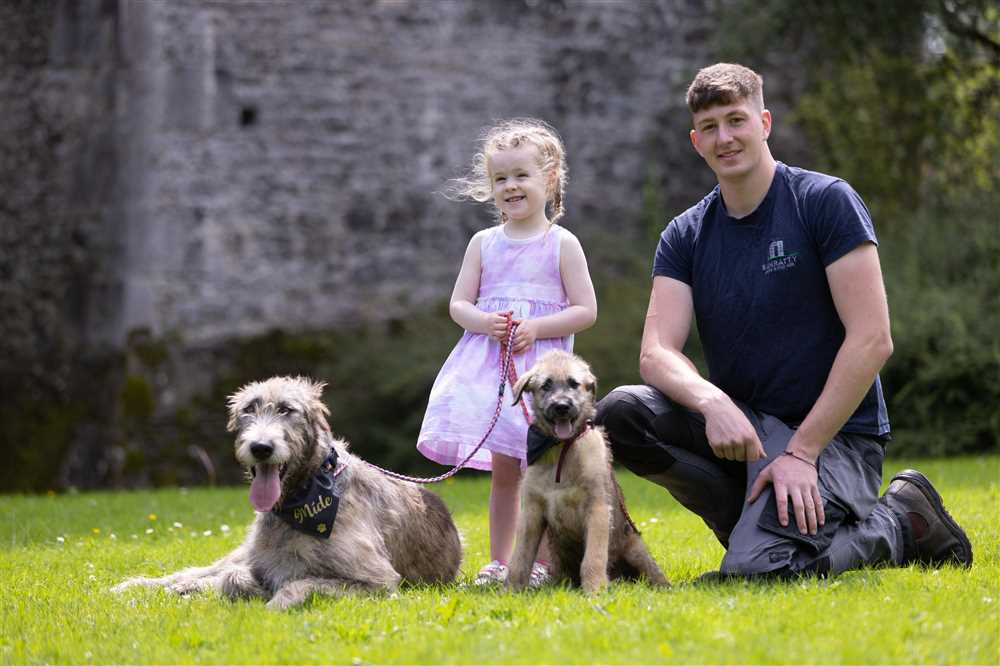 The Irish Wolfhound: A Photographic Journey Through this Noble Breed
