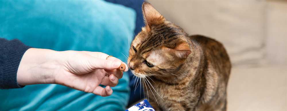 The Ultimate Guide to Choosing the Best Cat Treats for Your Feline Friend