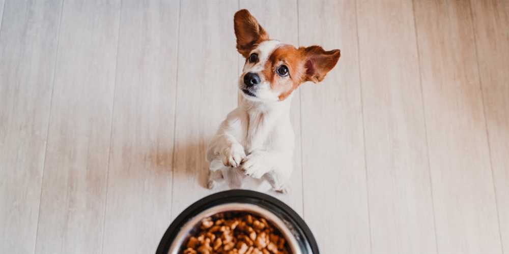 The Ultimate Puppy Food Guide