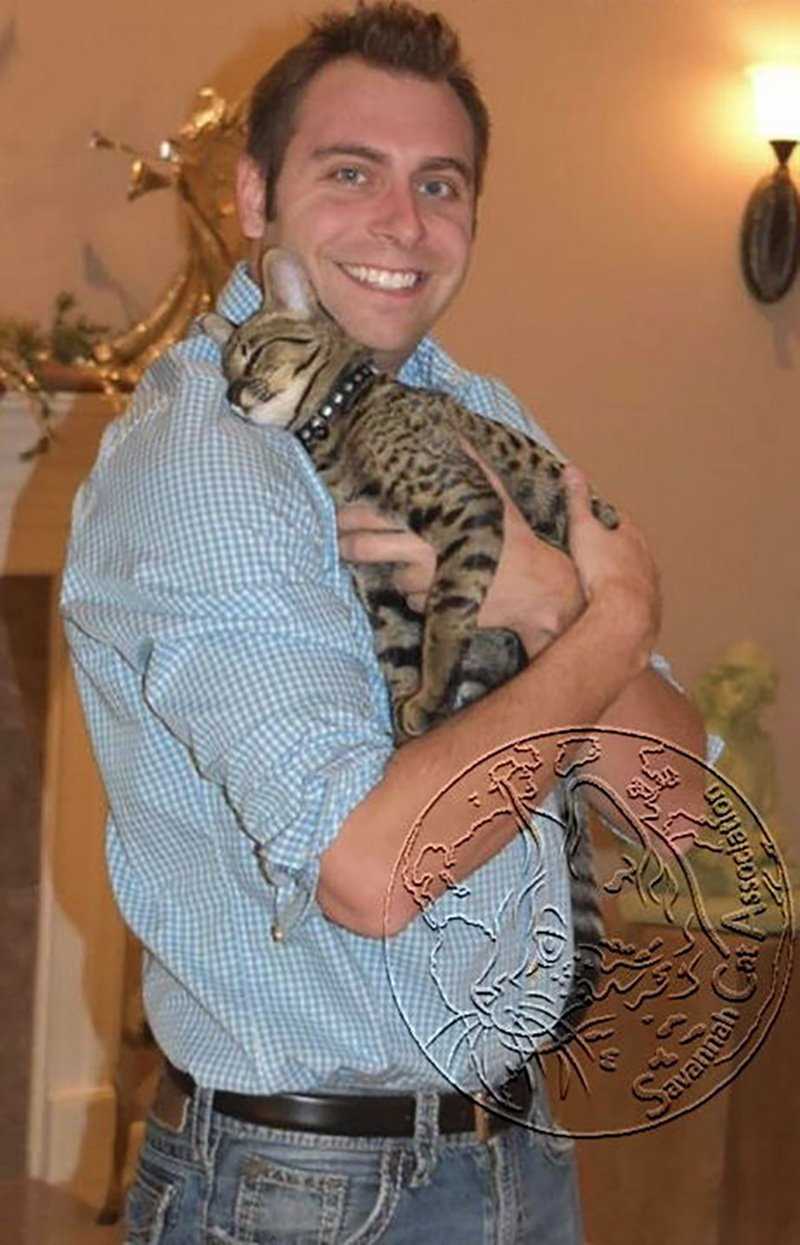 Tips for Caring for Your Savannah Cat