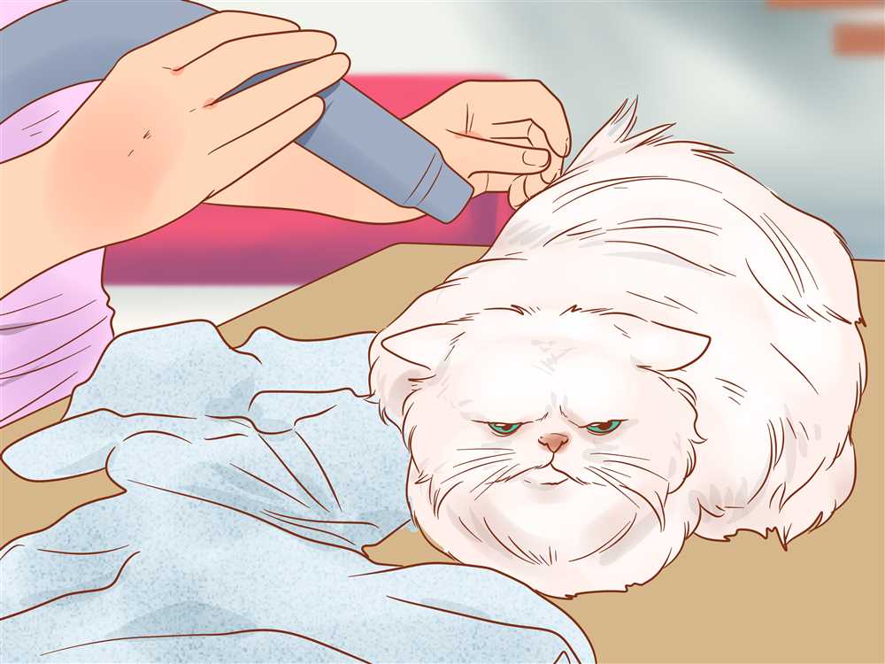 Importance of Regular Grooming for Persian Cats