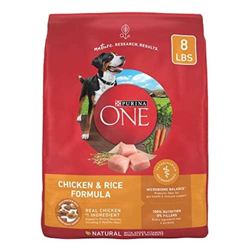 Evaluating the Quality of the Best Dry Dog Food Brands