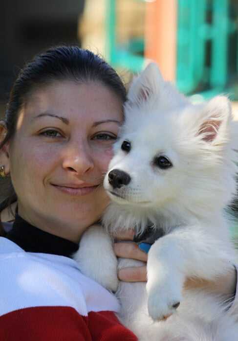 The Importance of Training for American Eskimo Dog Owners
