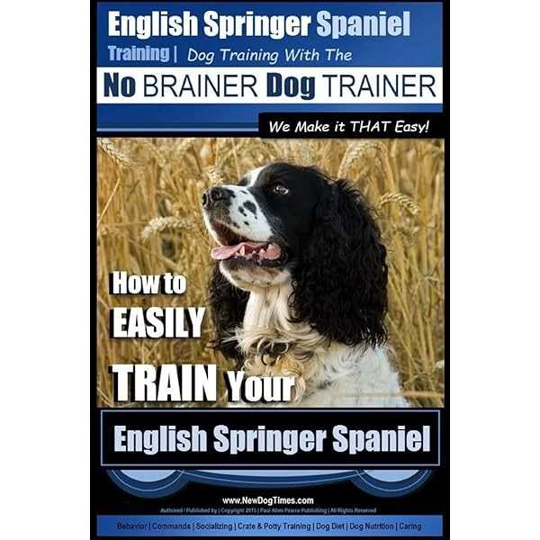 Tips for Coaching English Springer Spaniels: Unleashing Their Talents
