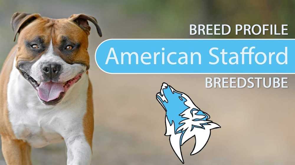 Understanding the American Staffordshire Terrier: A Breed Profile