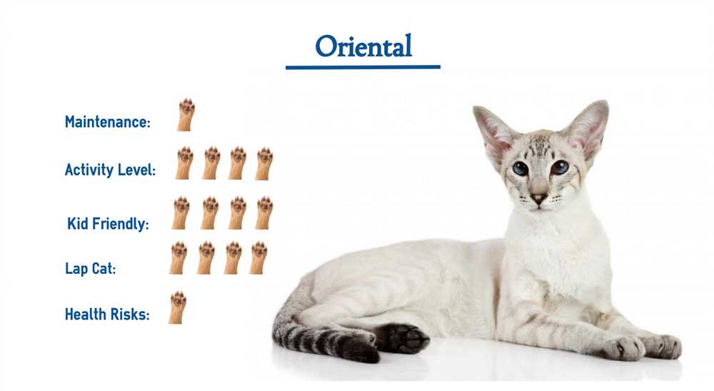 Understanding the Personality and Temperament of Oriental Cats