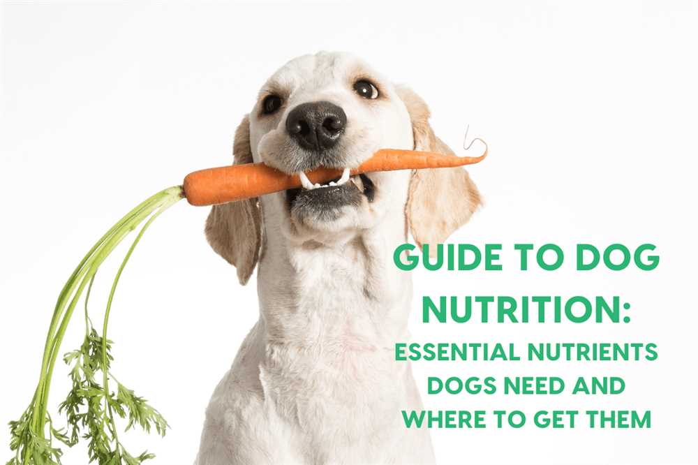 Recognizing Your Dog's Nutritional Demands: