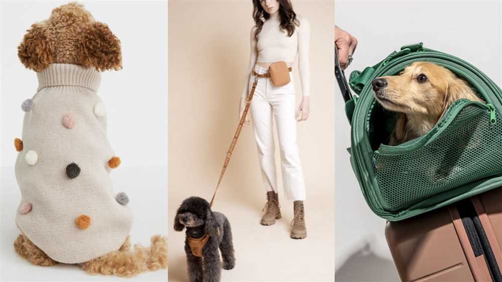 Brands to Enhance Your Dog's Unique Style